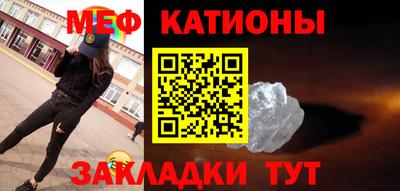 прущие грибы Кингисепп