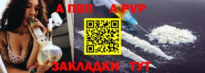 прущие грибы Кингисепп