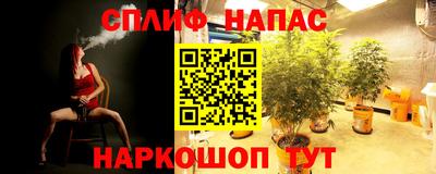кокс Кимры