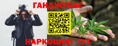прущие грибы Кингисепп