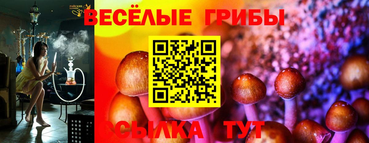 Галлюциногенные грибы GOLDEN TEACHER  Псилоцибиновые грибы прущие грибы  что такое   Вход с VPN  Тельмана 